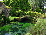 Il ponte dei glicini nei giardin di  Ninfa a Sermoneta (LT) - foto Armando Lombardi