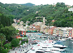 Portofino ...da Armando LombardiTusilago tartara bianca - foto Luigi Giupponi