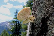 IMG_1131