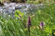 IMG_1185