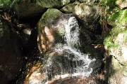 DSCF0364