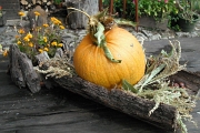 DSCF0425