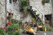 DSCF0426