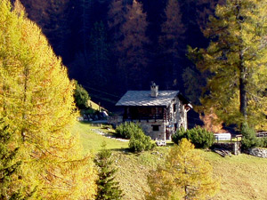 Casetta tra i colori autunnali a Foppolo ( 26 ottobre 08)