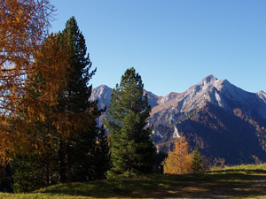 Il Pegherolo tra i colori autunnali di Foppolo ( 26 ottobre 08)
