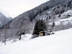 La prima debole nevicata - foto Aurelio 15 genn. 08