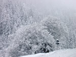 L'abbondante nevicata - foto Aurelio 16 genn. 08