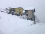 Nevica a larghe falde! - foto Aurelio 16 genn. 08