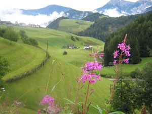 Prati...di Val Badia