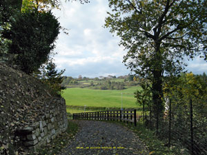 Verso un piccolo scorcio di sole
