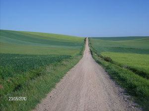 In cammino verso Santiago de Composstela