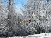 Vacanze in Val d'Aosta (Capodanno e inizio anno 2011) - FOTOGALLERY