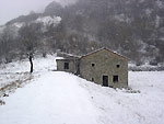 Salita al Linzone con neve sopra e sotto!  - foto Diego Zanchi