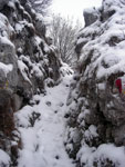 Salita al Linzone con neve sopra e sotto!  - foto Diego Zanchi