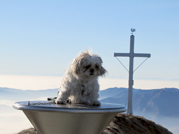 UNA SPLENDIDA ALBA SUL MONTE COLOMBINA - sabato 15 gennaio 2011 - FOTOGALLERY