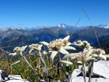CIMA DI MENNA DA RONCOBELLO (mt.2300) 27 Agosto 2012 - FOTOGALLERY
