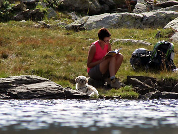 DALLE BAITE DI MEZZENO AL MONTE TONALE mt. 2.425 il 10 settembre 2011) - FOTOGALLERY