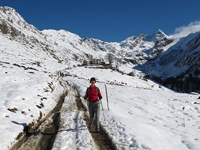 PRIMA NEVE IN VAL BIANDINO Sabato 16 novembre 2013 - FOTOGALLERY