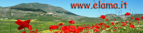 L'Umbria vista da Emanuela Ruffinelli