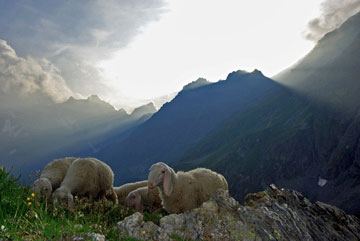 Trekking sul sentiero delle Orobie da Valbondione al Simal, al Brunone, al Calvi, ai Laghi Gemelli (18,19, 20 agosto 2009)  - FOTOGALLERY