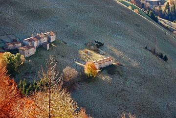 Immagini d'autunno dalla conca di Oltre il Colle - 11 novembre 2009 - FOTOGALLERY