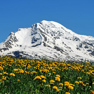 E' dolce primavera - FOTOGALLERY