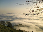 Dal Colle Pedrino..un mare di nebbia - foto Felino Tassi
