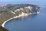 Il trave del Monte Conero  - foto Fermino Carancini