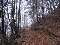 Salita in Val d'Inferno con neve e nebbia (9 marzo 08) - FOTOGALLERY