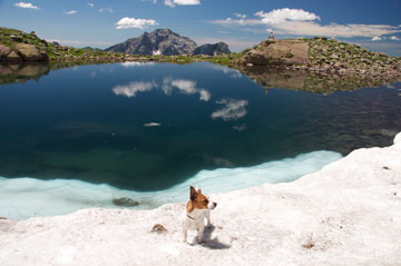Alla scoperta dei Laghi alta Val Sanguigno tra Monte Pradella e Pizzo Salina il 25 luglio 2010 - FOTOGALLERY