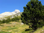 Il m.te Camicia al Gran Sasso d'Italia - foto Fulvio Sonazogni 18 luglio 07