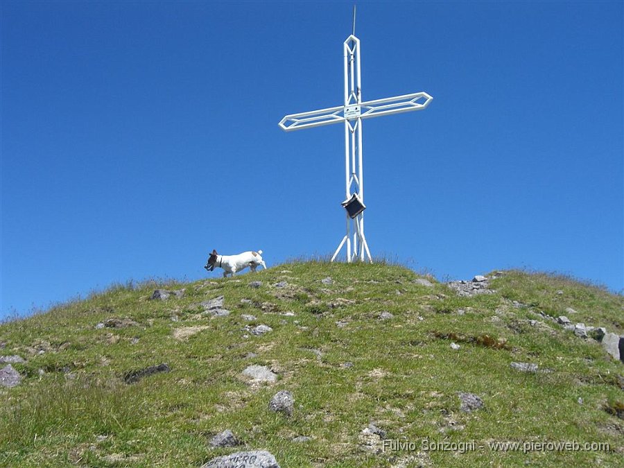 07_Teddy-primo.jpg - Lui arriva sempre per primo!