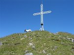 Salita al Pizzo Tornello da Pianezza di Vilminore di Scalve il 24 luglio 08 - FOTOGALLERY