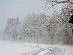 Immagini di Capodanno 2009 a Seriate e dintorni con freddo, nebbia e galaverna - FOTOGALLERY