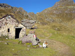 Il sentiero 216 per il Passo Laghi Gemelli - foto Fulvio Sonzogni 3 nov 07