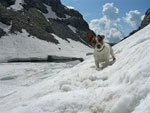 Teddy al Lago di Coca - 11 giugno 08