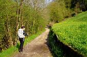 Salita al Bivacco Testa risalendo la splendida, selvaggia Val Vertova, ricca di vegetazione e di acqua! - FOTOGALLERY