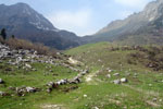 Salendo dall rif. Alpe Corte al Lago-Passo Branchino - foto Gigliola Ziglioli