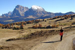 Sasso Piatto e Sasso Lungo - Alpe di Siusi - foto Gigliola Ziglioli ottobre 2005
