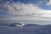 Panettoni di neve