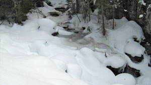 Torrente in Val San Nicolò - foto Gigliola Ziglioli 1 marzo 08