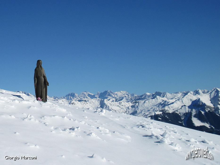 ARALALTA_10_ridimensionare.jpg
