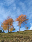 Vista in Arera -  foto Giorgio Marconi