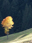 Vista in Arera -  foto Giorgio Marconi