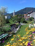 Campanile e fiori - foto di Giovanna Nigris