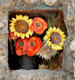 Nicchia con fiori multicolori a Colere - foto Giovanni Paolini