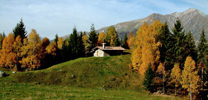 Il Pian della Mussa di Oltre il Colle con, sullo sfondo, il Menna  in splendida veste autunnale - foto Giovanni Paolini 