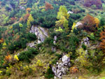 Colori d'autunno a Ceresola di Valtorta verso i Piani di Bobbio - foto Giuseppe Civardi