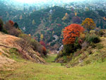 Colori d'autunno a Ceresola di Valtorta verso i Piani di Bobbio - foto Giuseppe Civardi