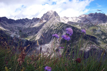 Splendida vacanza in Austria dal 15 al 22 agosto 2010 - FOTOGALLERY